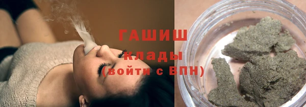 шишки Горняк